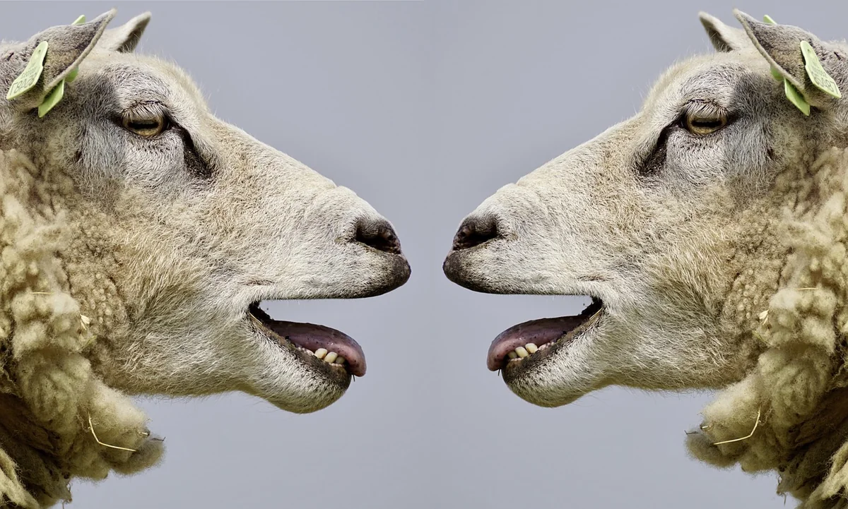 La communication assertive : le pilier oublié