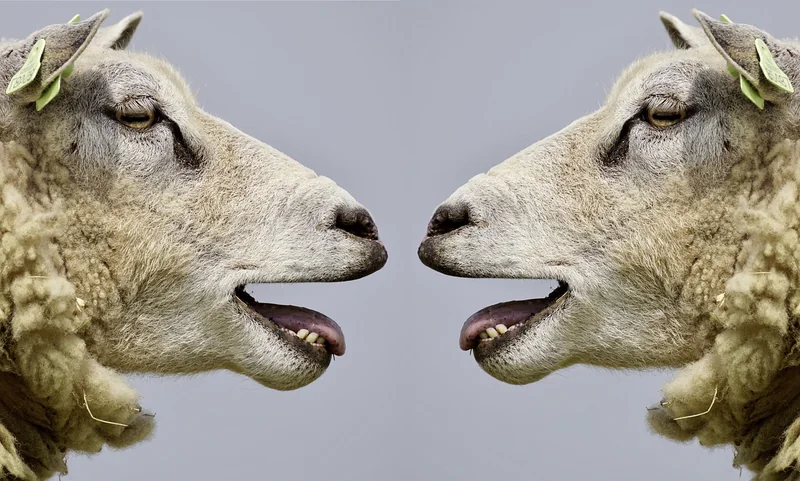 La communication assertive : le pilier oublié
